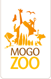 Mogo Zoo - Lismore Accommodation